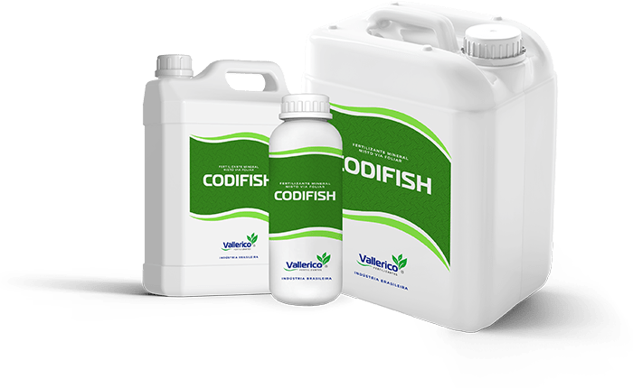 Codifish